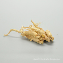 Natural herbal products cordyceps and ginseng for sale